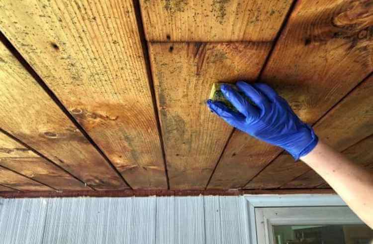 How To Get Rid Of White Mold On Wood